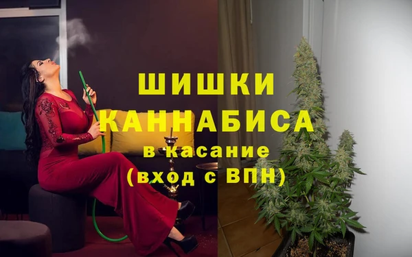 ECSTASY Богородск